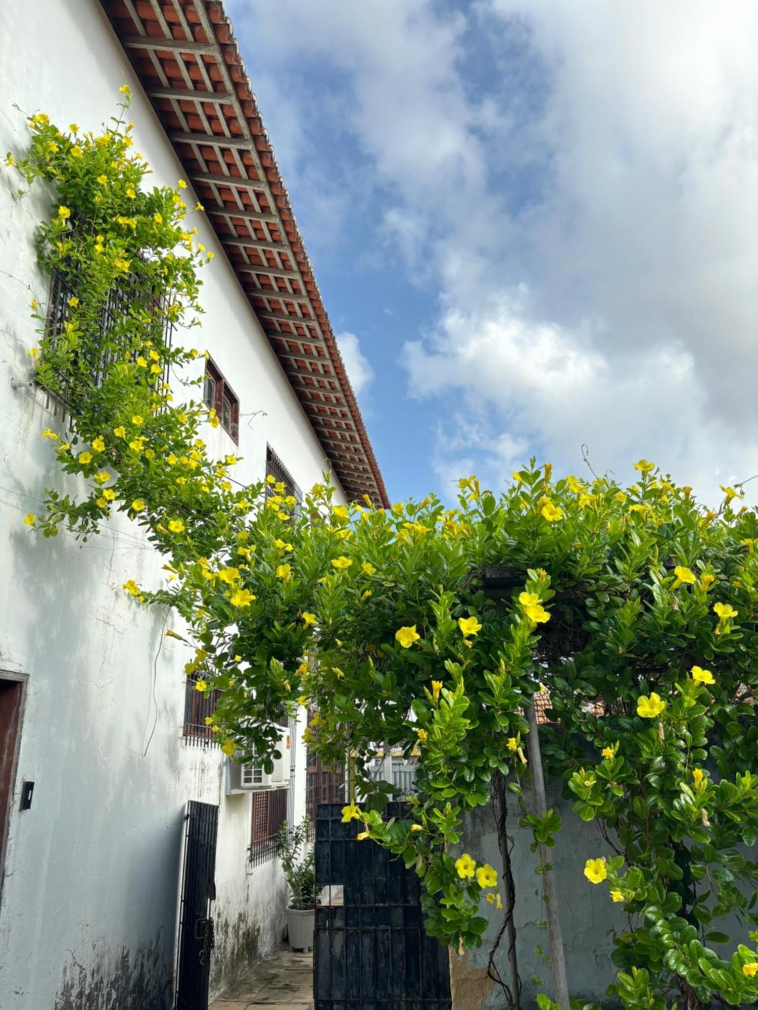 Parnaiba Hostel Buitenkant foto